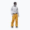 Pantaloni de schi pentru bărbați Picture Picture Object 20/20 Camel MPT114 2