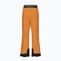 Pantaloni de schi pentru bărbați Picture Picture Object 20/20 Camel MPT114 9