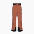 Pantaloni de schi pentru bărbați Picture Picture Object 20/20 Nutz MPT114