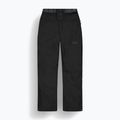 Pantaloni de schi pentru femei Picture Exa black 8