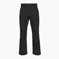 Pantaloni de schi pentru bărbați Picture Plan 10/10 black 7