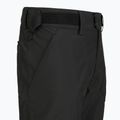 Pantaloni de schi pentru bărbați Picture Plan 10/10 black 9