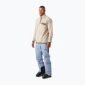 Bluză fleece de schi pentru bărbați Picture Arcca 1/4 Zip pure cashmere 4