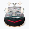 Element Hatched roșu albastru colorat skateboard clasic W4CPC4 5
