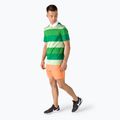 Tricou polo pentru bărbați Lacoste verde DH0872 FR9 3
