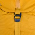 Rucsac de trekking Blue Ice Firecrest 38L galben 100306 6