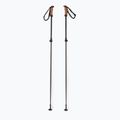 Elan Voyager Rod bețe de schi negru CD907620