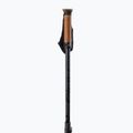 Elan Voyager Rod bețe de schi negru CD907620 2