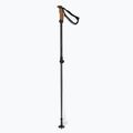 Elan Voyager Rod bețe de schi negru CD907620 6