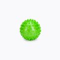 Schildkröt bile de masaj set de 2 Spiky Massage Ball gri 960054 3