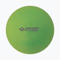 Schildkröt Pilatesball verde 960132