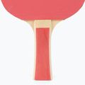 DONIC Appelgren 300 Set de rachete de tenis de masă 788634 4