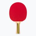 DONIC Set cadou pentru tenis de masă Top Team 500 788451 2