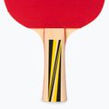 DONIC Set cadou pentru tenis de masă Top Team 500 788451 5