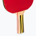 DONIC Set cadou pentru tenis de masă Top Team 500 788451 6