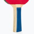 Se de tenis de masă Donic-Schildkröt Appelgren 400 Set 6