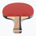 Butterfly Timo Boll Rachetă de tenis de masă din bronz 2