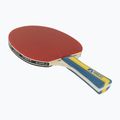 Rachetă de tenis de masă JOOLA Team Master 3