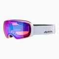 Ochelari de schi Alpina Granby Q-Lite white gloss/blue sph 6