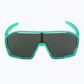 Ochelari de soare Alpina Bonfire turquoise matt/green 2