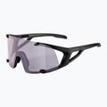 Ochelari de soare Alpina Hawkeye Q-Lite V black matt/purple 5
