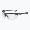 Ochelari de soare Alpina Nylos HR black transparent matt/ clear 5