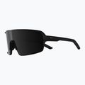 Ochelari de soare Alpina Lumin black matte/black 4
