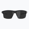 Ochelari de soare Alpina Eagle Q-Lite black matte/silver mirror 2