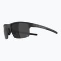 Ochelari de soare Alpina Eagle Q-Lite black matte/silver mirror 4