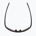 Ochelari de soare Alpina Eagle Q-Lite black matte/red mirror 4