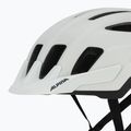 Cască de bicicletă Alpina Paranus MIPS smoke grey/midnight grey matt 7