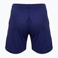 Pantaloni scurți VICTOR R-03200 blue 2