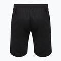 Pantaloni scurți VICTOR 4866 black 2