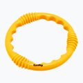 Jucărie pentru scufundări Fashy 4202 inel neon orange