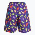 Pantaloni scurți de înot pentru copii Fashy 26837 Small Boys 2