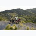 Geantă de bicicletă ORTLIEB Back-Roller Plus QL2.2 20+3 l dark chili 11