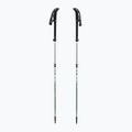 Bețe de trekking LEKI Makalu FX TA silver/greygreen/white