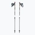 Bețe de mers nordic LEKI Instructor Lite negru 65026341
