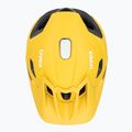 Cască de bicicletă UVEX Quatro Integrale sunbee/black 6
