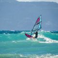 Windsurfing naviga NeilPryde Sail Dragonfly HD C1 violet NP-120035-C1027 4