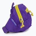 Sac de rinichi pentru copii Deuter Junior Belt mov 3910021 2