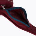 Deuter sac de rinichi Pulse 1 roșu 391012150000 4