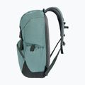 Rucsac Deuter Walker 20 l jad/ivy city 5