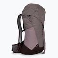 Deuter AC Lite 22 SL rucsac pentru drumeții violet 342072155680 3
