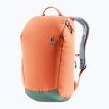 Deuter StepOut 16 l rucsac de oraș 381512392060 castan/color castan 2