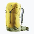 Rucsac de drumeție Deuter AC Lite 24 l 342082182080 turmeric/kaki 2