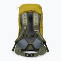 Deuter AC Lite 30 l rucsac de drumeție 342102182080 turmeric/kaki 3