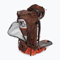 Deuter Freescape Pro 40+ l rucsac de parașutism 330032269020 umbra/papaya 4