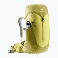 Rucsac pentru drumeții pentru femei deuter AC Lite 22 l SL sprout/linden 5