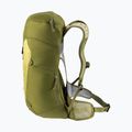 Rucsac turistic deuter AC Lite 24 l linden/cactus 5